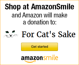 amazonsmilebkg